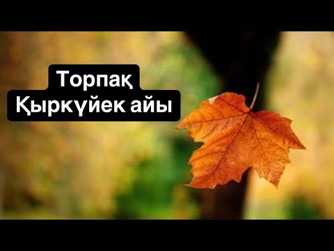 Видео: Торпақ 2025 жылдың Қыркүйек айына арналған Таро жорамалы #айгеримаскер