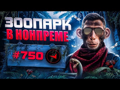 Видео: В СОЛО В ТОП750 - ЗООПАРК В НОНПРЕМЕ