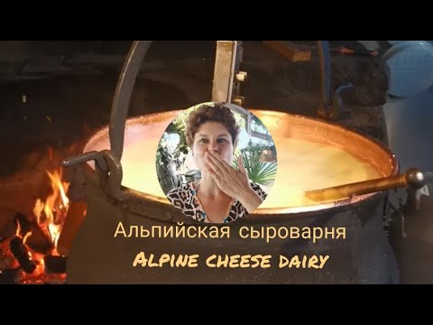 Видео: Как делают швейцарский сыр? Сыроварня в Альпах