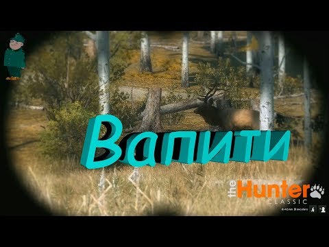 Видео: theHunter Classic. Охота на оленя-вапити.