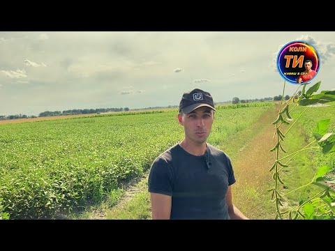 Видео: В сусіда завжди краще❗️соя поперла після гумата та бору🔥🌱