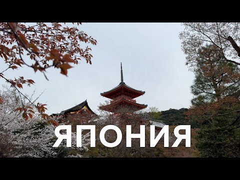 Видео: ЯПОНИЯ Осака, Нара, Киото часть 1