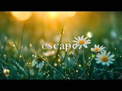 Видео: Спокойная гитарная музыка для концентрации, работы и учёбы | Gentle Nature Ambience