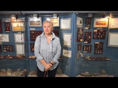 Видео: Лекция «История археологического изучения Удмуртии»