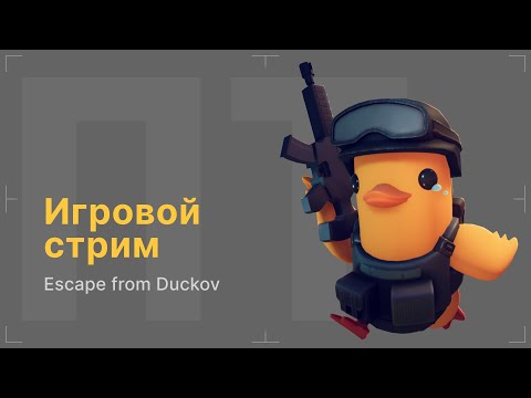 Видео: После титров | Играем в Escape From Duckov | Выпуск 273