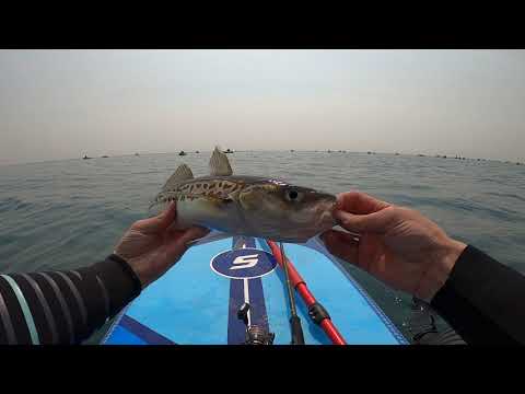 Видео: МИНТАЙ И КРАБ ОТШЕЛЬНИК НА ДЖИГ. Рыбалка с сапа