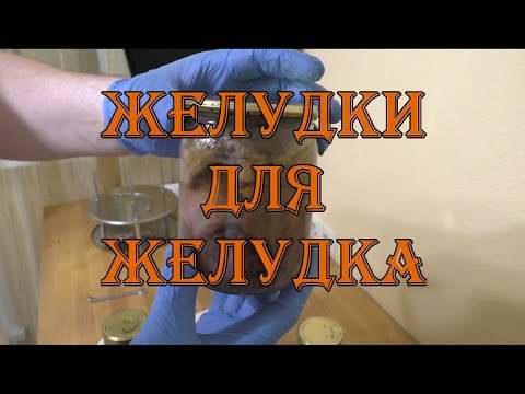Видео: КУРИНЫЕ И ИНДЮШАЧЬИ ЖЕЛУДКИ В АВТОКЛАВЕ - ТУШЕНКА ИЗ ЖЕЛУДКОВ