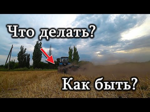 Видео: Что делать со стерней и валками соломы после уборки пшеницы?!