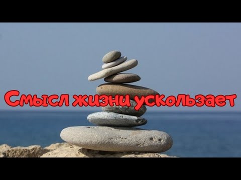 Видео: Поиск смысла жизни в условиях массового сумасшествия