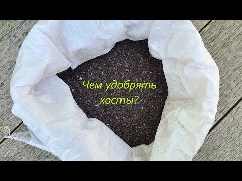 Видео: Чем удобрять хосты? - Мой опыт.