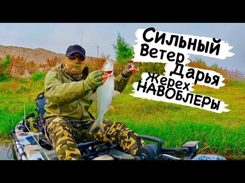 Видео: Сильный ветер на Дарье  Рыбалка на жереха в конце октября