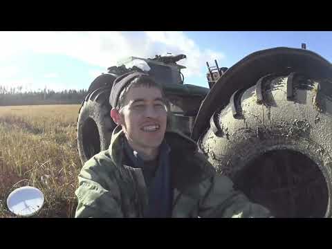 Видео: Выезд за клюквой N 5. Добыл рябчика и приготовил на болоте. Набрал ягоды на 14 000.Сломался каракат.