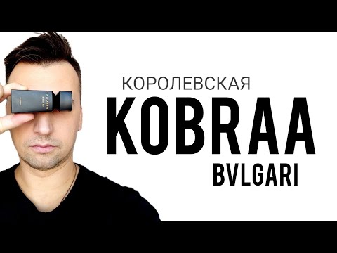 Видео: ЯД ИЛИ НЕКТАР? Kobraa Bvlgari