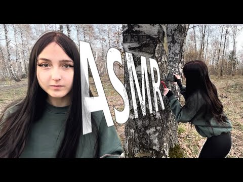 Видео: ASMR ГУЛЯЕМ В ЛЕСУ