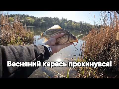 Видео: «Вбивця карася» проти «Ін-лайну». Ловля карася в квітні 2025