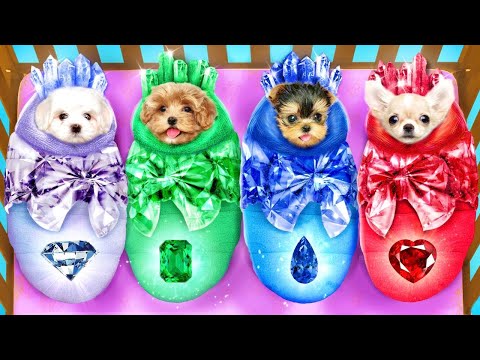 Видео: Собака Смарагд, Рубін, Сапфір і Діамант! Ми Перетворились на Коштовне Каміння