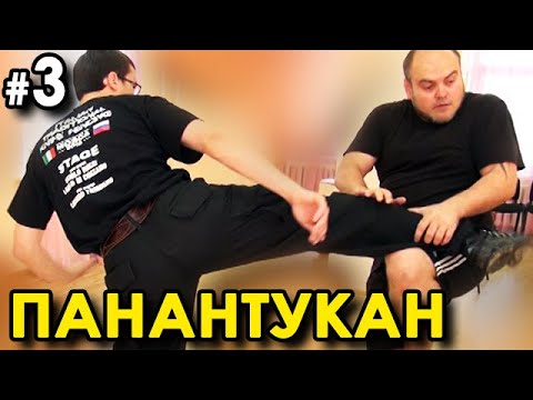 Видео: Панантукан: Филиппинский бокс – 3: техника против ног.