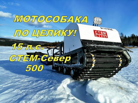 Видео: МОТОСОБАКА ПРЁТ ПО ЦЕЛИКУ! Неисправность устранена! Тест-драйв в глубоком снегу. Стем-СЕВЕР-500