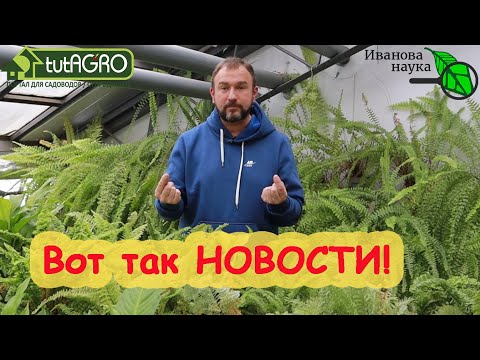 Видео: ОСТОРОЖНО! ШОК! БОРОФОСКА - ЭТО ШЛАК, УСТАРЕВШАЯ РАССАДА, с чем НЕЛЬЗЯ сажать ОГУРЦЫ и всякое такое!