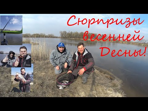 Видео: СЮРПРИЗЫ ВЕСЕННЕЙ ДЕСНЫ. / Фидер на течении и интересный способ засолки рыбы!