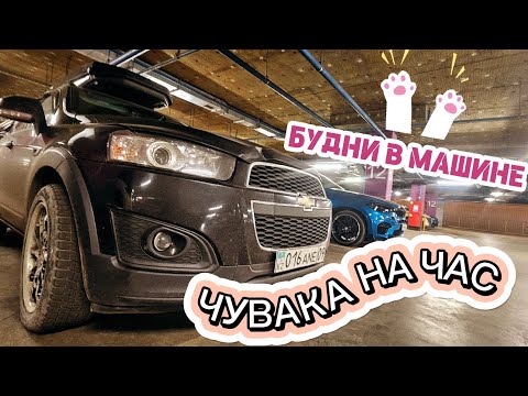 Видео: УТРО И РАБОЧИЙ ДЕНЬ В ОДНОМ ВИДЕО