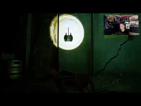 Видео: Продолжаем проходить Stray #2  Запись стрима
