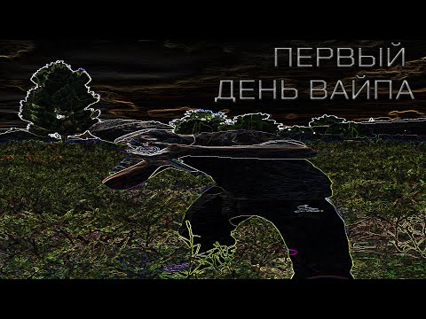 Видео: КАК ИДЕАЛЬНО ОТЫГРАТЬ ПЕРВЫЙ ДЕНЬ ВАЙПА