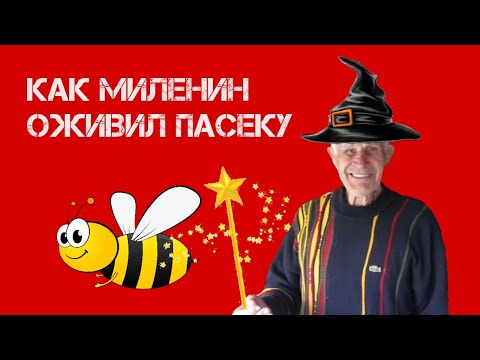 Видео: Как работать с маленькими пчелосемьями - Быль о Мазданце Миленин М. И.