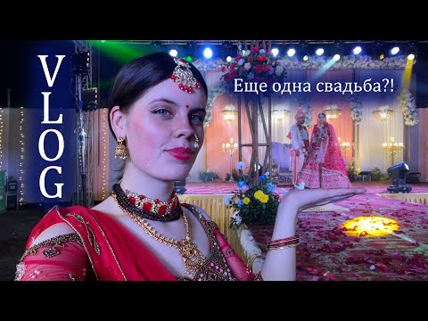 Видео: Объелись Индийского фастфуда, Нашли озеро с лотосами