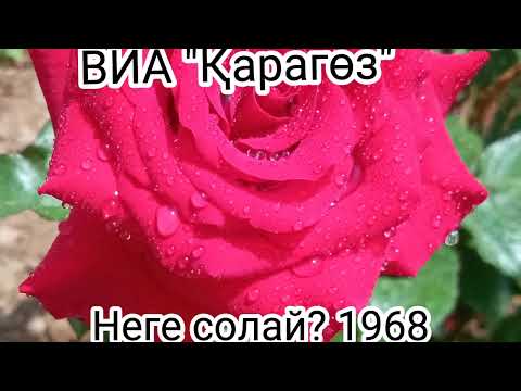 Видео: "Қаракөз" ансамблі   Кездесу.Неге солай?