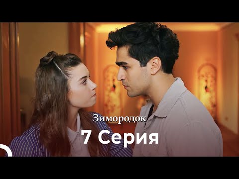 Видео: Зимородок 7 Cерия (Русский дубляж) (4K)