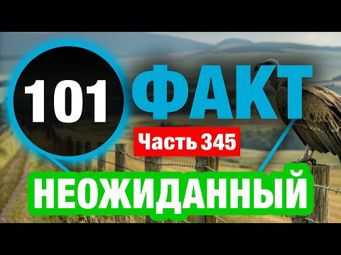 Видео: 101 Факт, До Которого Вы Никогда Не Додумались Бы Сами