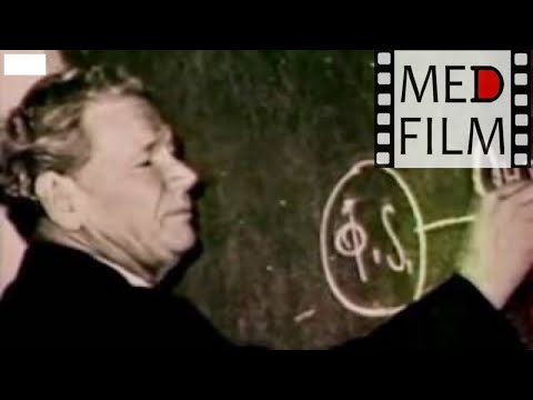 Видео: редкие кадры, Академик П.К.Анохин о научной школе - Academician P.K. Anokhin