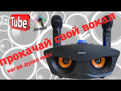 Видео: караоке bluetooth система sdrd sd 306 два микрофона