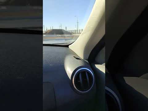 Видео: 19 марта 2025 г.