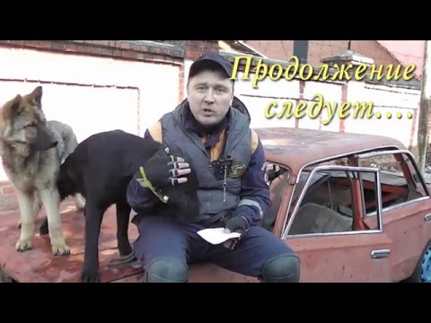 Видео: почему собака вас не слушается на улице?!