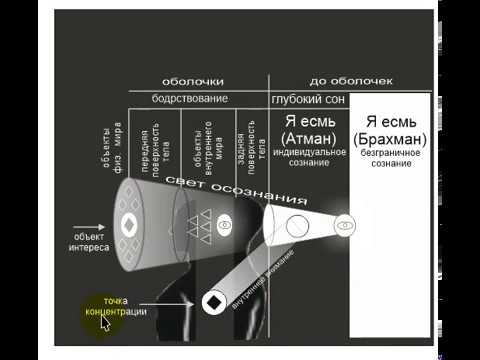 Видео: однонаправленная концентрация - как установится в позиции свидетеля.