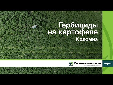 Видео: Гербициды на картофеле, Коломна