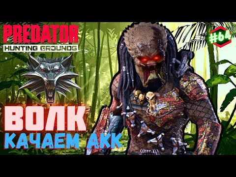 Видео: Predator Hunting Grounds ➤ ВОЛК ➤ ОХОТА #64 #predator