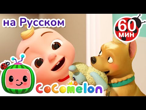 Видео: Моя собака Бинго🐶 | Сборник 1 Час | CoComelon на русском — Детские песенки