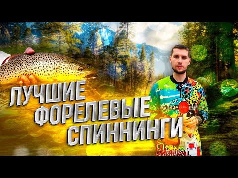 Видео: Выбор удилища для ловли прудовой форели! Спиннинги Valkein, Nories, Mukai, Yarie, Tailwalk