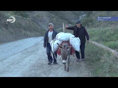 Видео: Забытое село Мирзитта