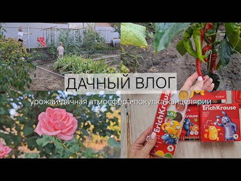 Видео: Дачный влог|закупка канцелярии 