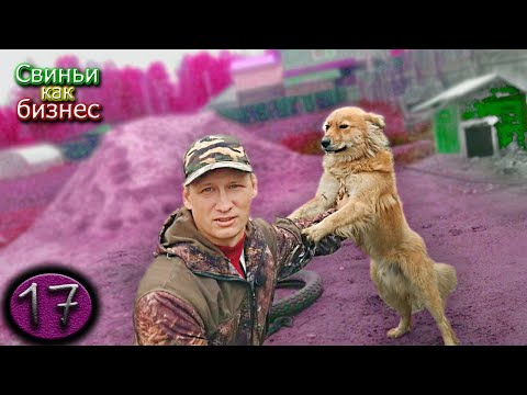 Видео: Переезд многодетной семьи в село