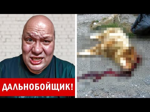 Видео: Они МСТЯТ За КАМАРО! ДАЛЬНОБОЙЩИК ЛЁХА УБИЛ нашу СОБАКУ! он ПОПЛАТИТСЯ ЗА ЭТО! | ! (5 СЕРИЯ)