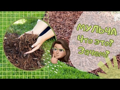 Видео: Мульча. Что это? Зачем?