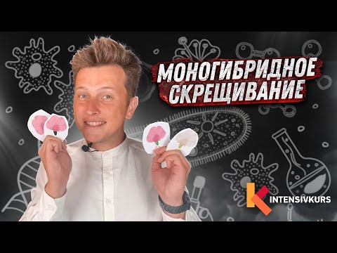 Видео: Как Решать Задачи на Моногибридное Скрещивание — Биология 10 класс // Подготовка к ЕГЭ по Биологии