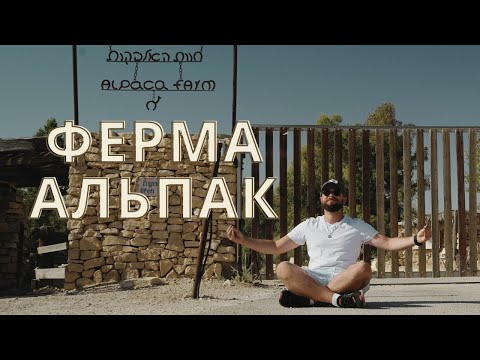 Видео: ФЕРМА ЛАМ / Мицпе-Рамон