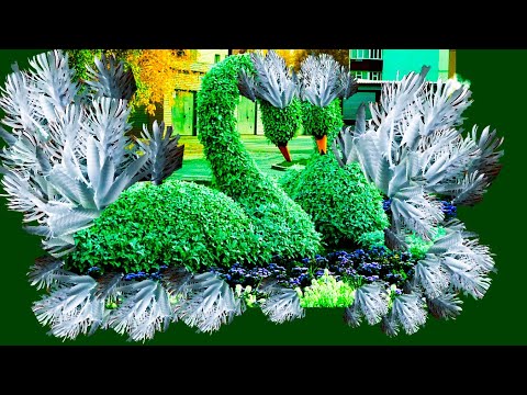 Видео: Цветы из пластиковых бутылок!!! Делаем вместе!