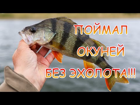 Видео: Забыл дома ЭХОЛОТ!!! Как теперь ловить окуня и судака??? Рыбалка на джиг 👍👍👍